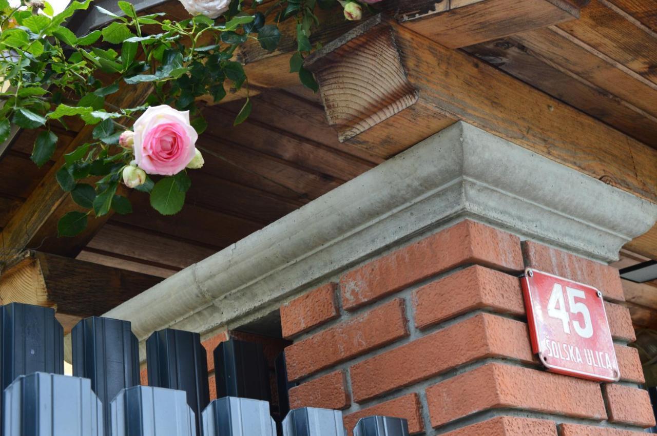 Apartment Kancler Νόβα Γκόριτσα Εξωτερικό φωτογραφία